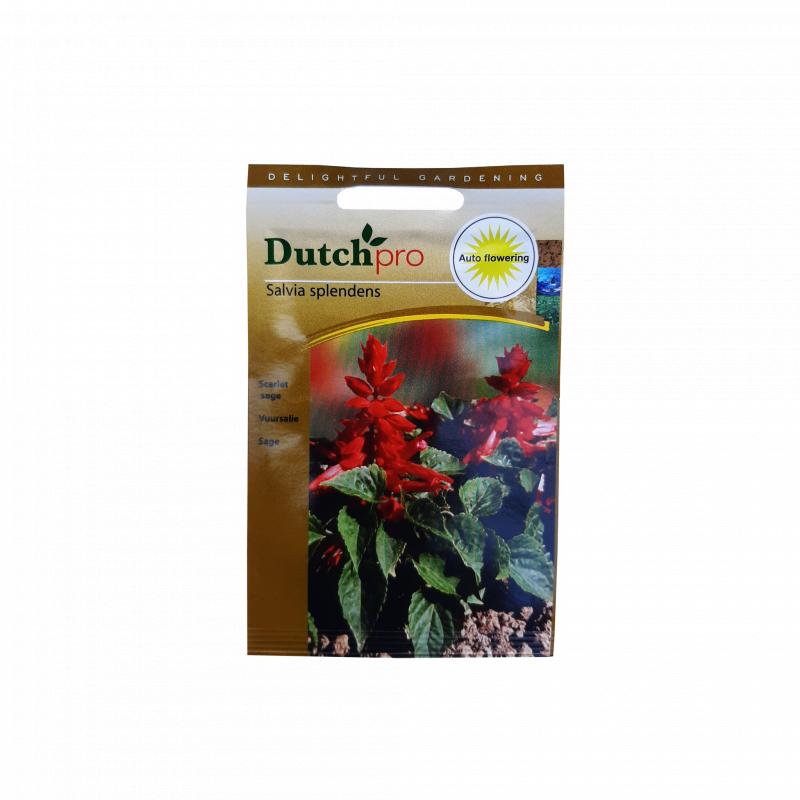 Dutch Pro Dutch Pro - Vuursalie
