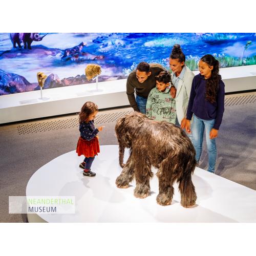 Entreeticket Neanderthal Museum