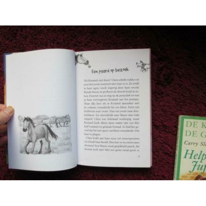 Een pony met rare streken boek