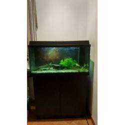 Aquarium 80×35x45