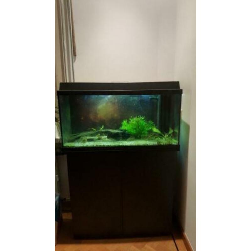 Aquarium 80×35x45