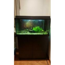Aquarium 80×35x45