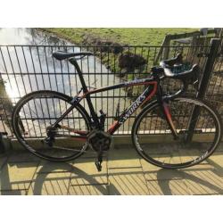 S-works Amira Maat 51
