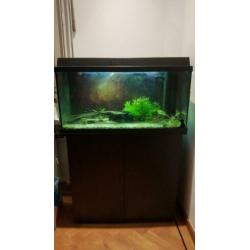 Aquarium 80×35x45