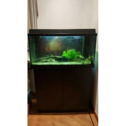 Aquarium 80×35x45