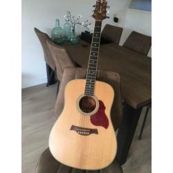 Crafter d6