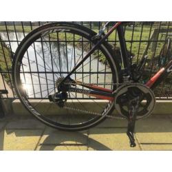 S-works Amira Maat 51