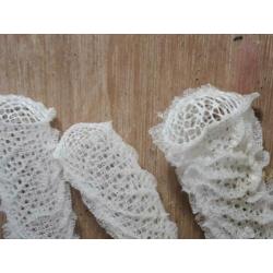 Venus bloemenmand spons skelet rariteit schelpen Euplectella