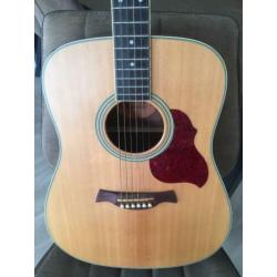 Crafter d6