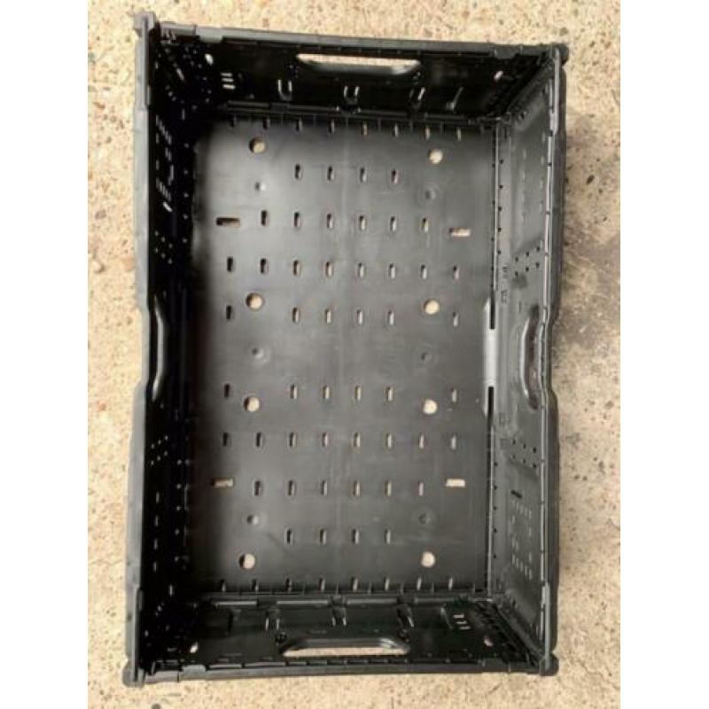 Klapkrat zwart 14 cm hoog (Duitse variant).