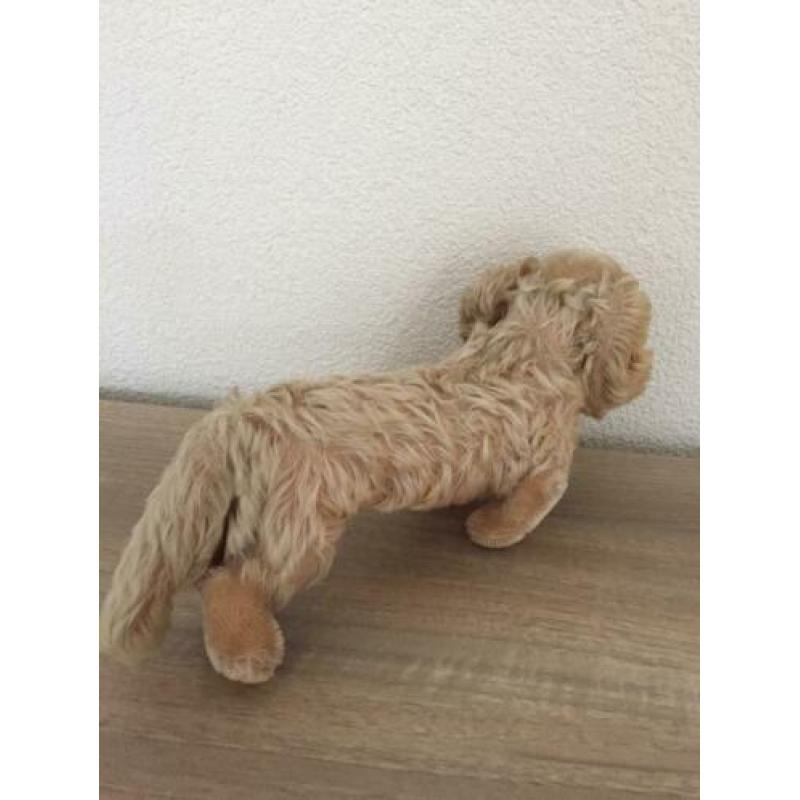 Steiff hond met knop 30 cm