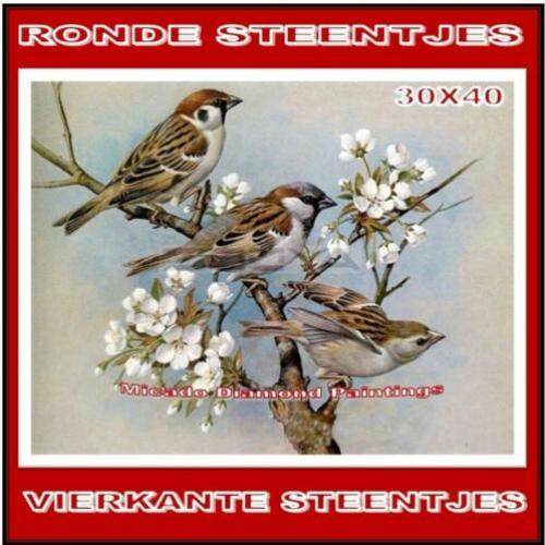 ?/¦ Diamond Painting 3 Vogels op Tak 30*40 Full-Volledig