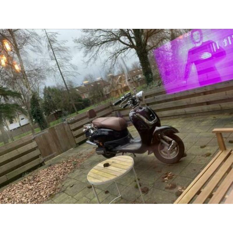 AGM Retro scooter (snorscooter)
