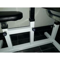 BICEPS BANK - CURL BENCH - Curlbank - FITNESS