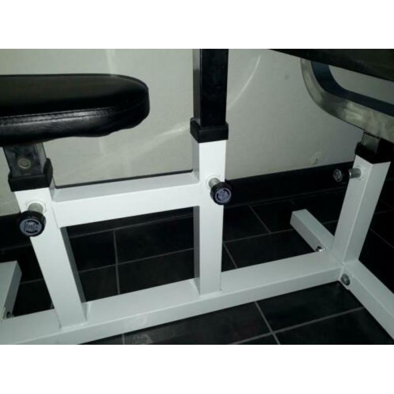 BICEPS BANK - CURL BENCH - Curlbank - FITNESS