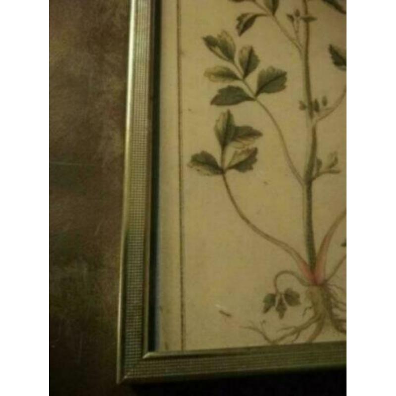 Oud leuk brocante fotolijstje. 18 bij 13 cm