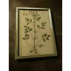 Oud leuk brocante fotolijstje. 18 bij 13 cm