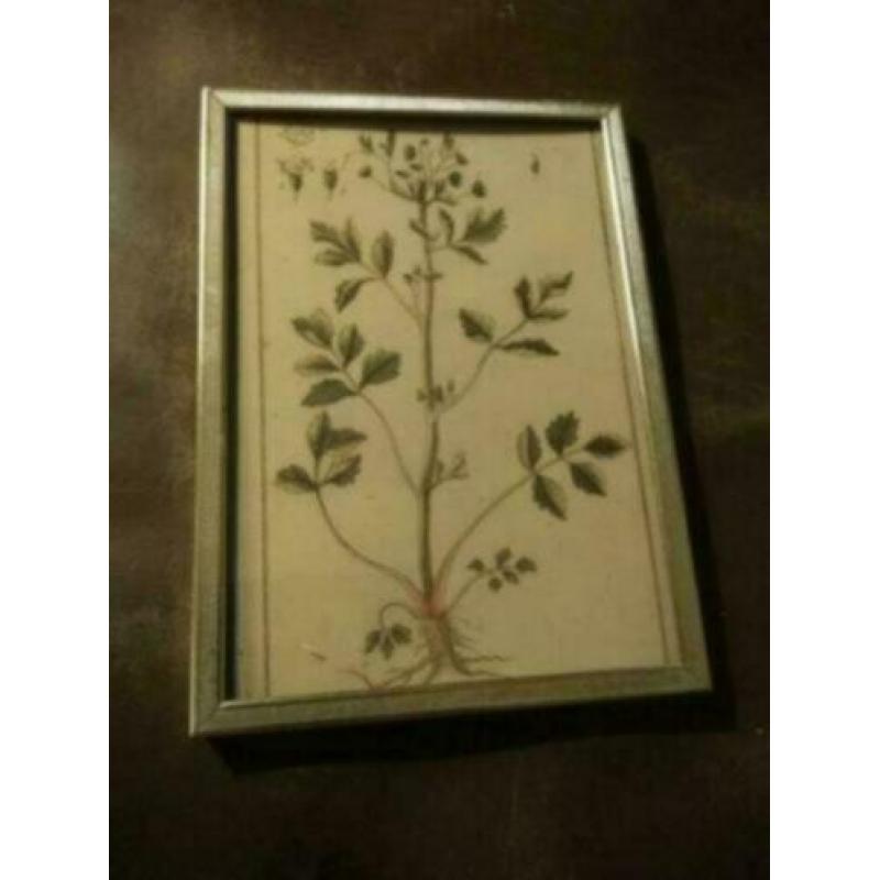 Oud leuk brocante fotolijstje. 18 bij 13 cm