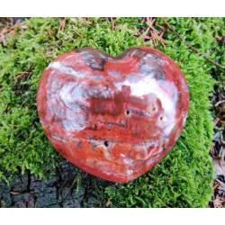 Hart Versteend Hout