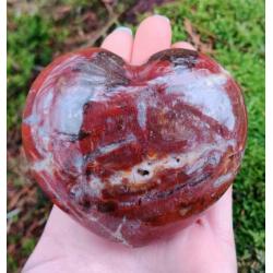 Hart Versteend Hout