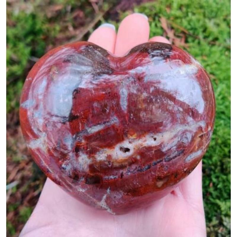 Hart Versteend Hout