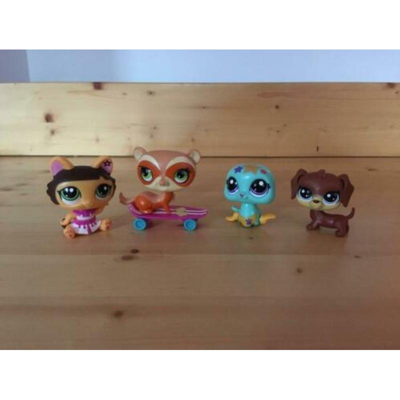 6 Pinypon & 4 Littlest Pet shop + accessoires