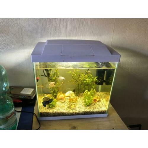 Aquarium startkit 30 liter wit