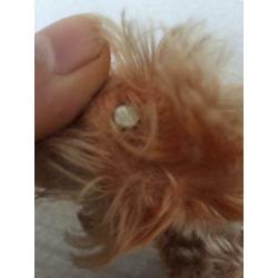 Steiff hond met knop 30 cm
