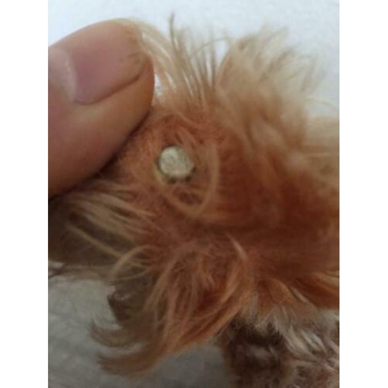 Steiff hond met knop 30 cm