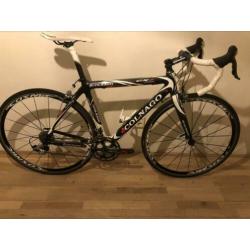 Colnago CX1 Ultegra Carbon racefiets