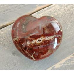 Hart Versteend Hout