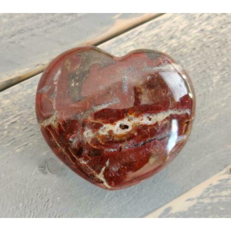 Hart Versteend Hout