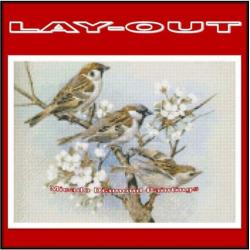 ?/¦ Diamond Painting 3 Vogels op Tak 30*40 Full-Volledig