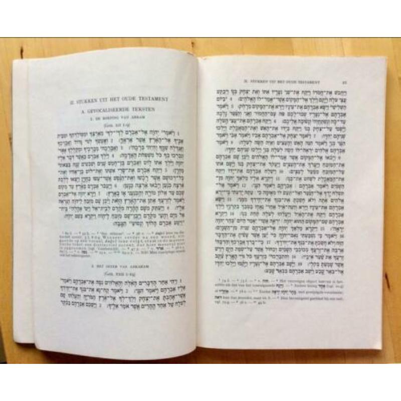 Bijbels Hebreeuwse grammatica en hulpboek