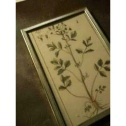 Oud leuk brocante fotolijstje. 18 bij 13 cm