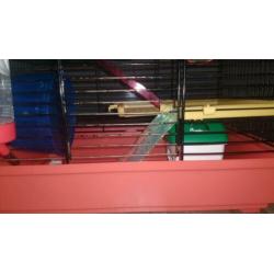 Hamster kooi met toebehoren