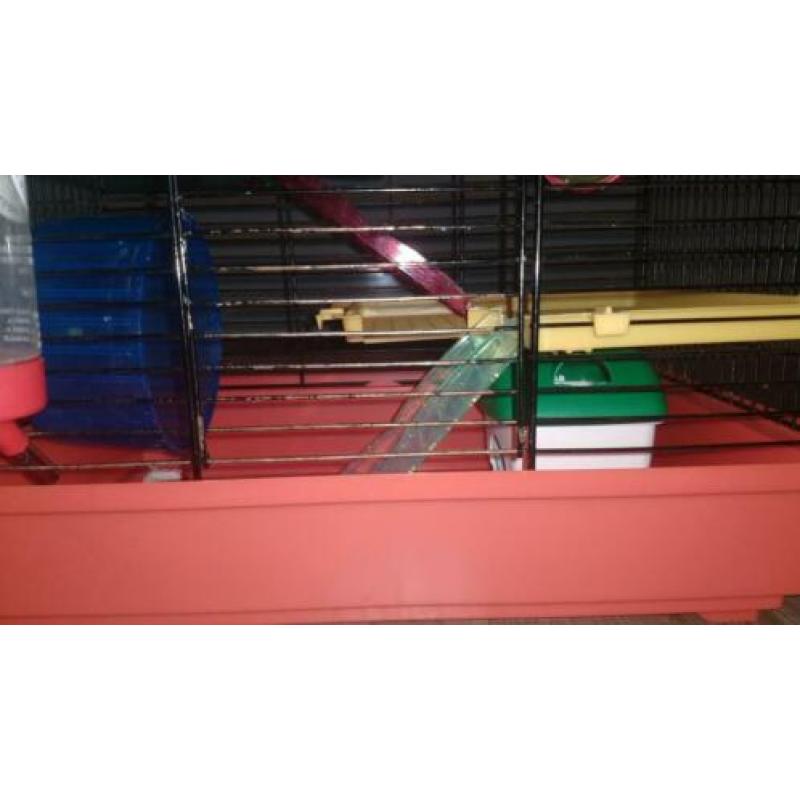 Hamster kooi met toebehoren