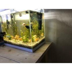 Aquarium startkit 30 liter wit