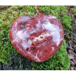 Hart Versteend Hout
