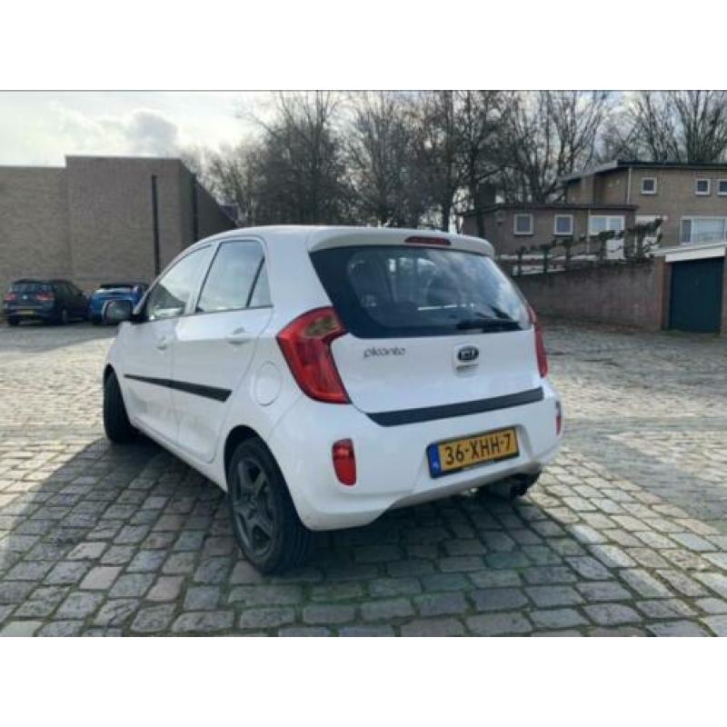 KIA Picanto 1.0 Cvvt 5-DRS 2012 Wit
