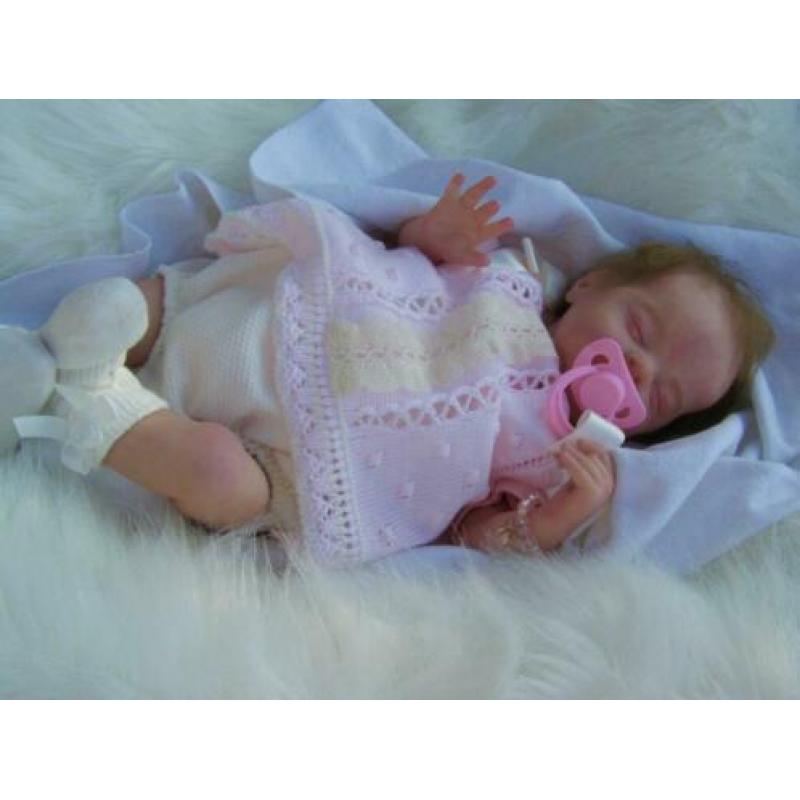 Reborn pop van bosbabies