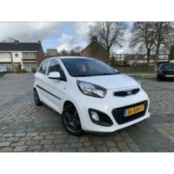 KIA Picanto 1.0 Cvvt 5-DRS 2012 Wit