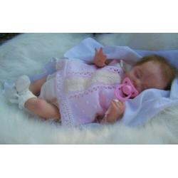 Reborn pop van bosbabies
