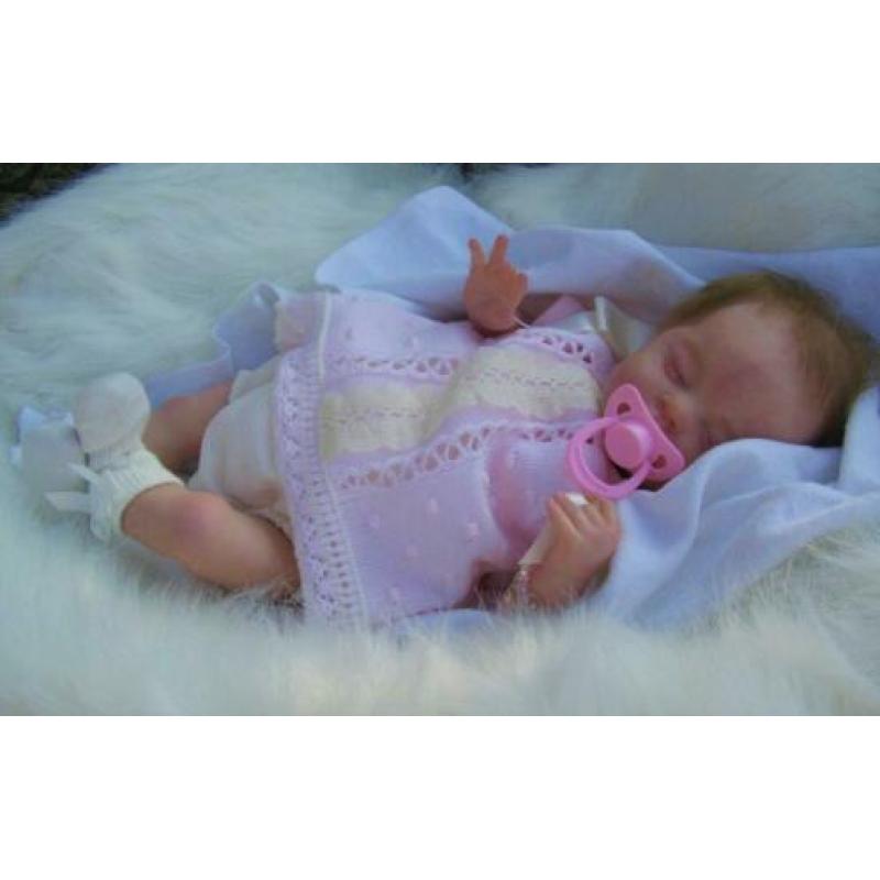 Reborn pop van bosbabies