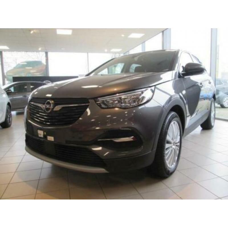 Opel Grandland X 1.2 Turbo Business Executive (bj 2020)