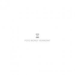 Peugeot 307 1.4-16V XR Elekt ramen Audio installatie, APK to