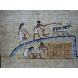 papyrus genummerd Egyptisch Museum Art Paintings Cairo 28x13