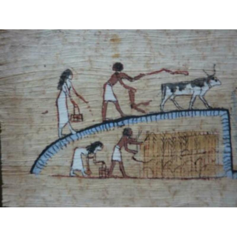 papyrus genummerd Egyptisch Museum Art Paintings Cairo 28x13
