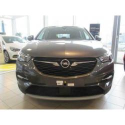 Opel Grandland X 1.2 Turbo Business Executive (bj 2020)
