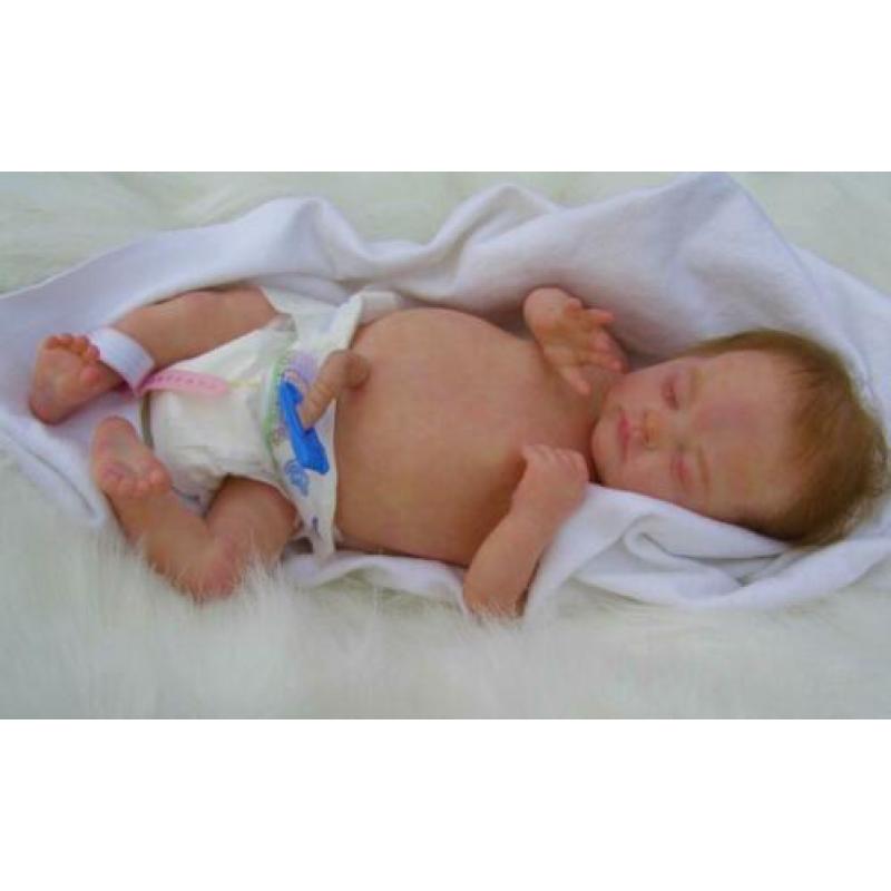 Reborn pop van bosbabies